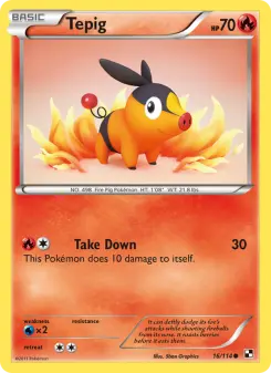 Pokémon-Karte Tepig 016/114