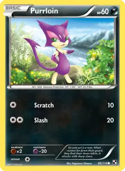 Pokémon-Karte Purrloin 066/114