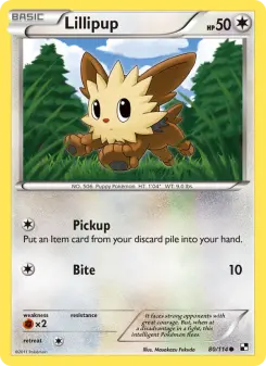 Pokémon-Karte Lillipup 080/114