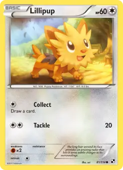 Pokémon-Karte Lillipup 081/114