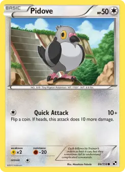 Pokémon-Karte Pidove 084/114