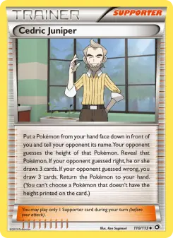 Pokémon-Karte Cedric Juniper 110/113