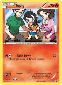 Pokémon-Karte Tepig 025/113