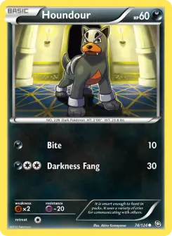 Pokémon-Karte Houndour 074/124