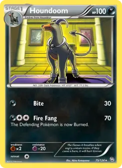 Pokémon-Karte Houndoom 075/124