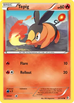 Pokémon-Karte Tepig 024/149