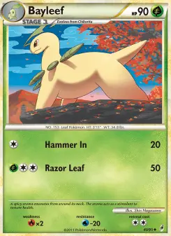 Pokémon-Karte Bayleef 040/095