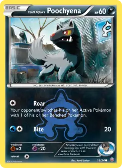 Pokémon-Karte Team Aqua's Poochyena 016/034