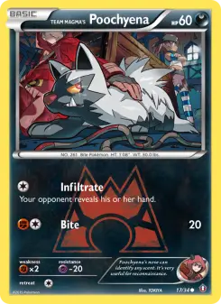 Pokémon-Karte Team Magma's Poochyena 017/034