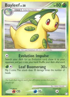 Pokémon-Karte Bayleef 041/123