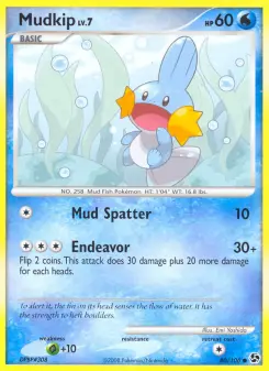 Pokémon-Karte Mudkip 080/106