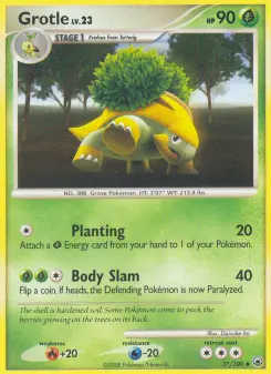 Pokémon-Karte Grotle 037/100