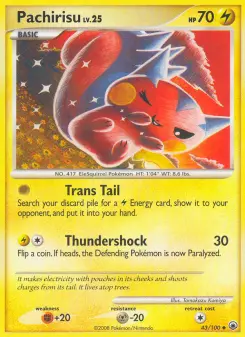 Pokémon-Karte Pachirisu 043/100