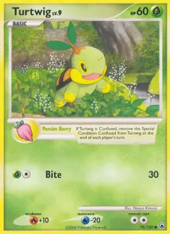Pokémon-Karte Turtwig 078/100