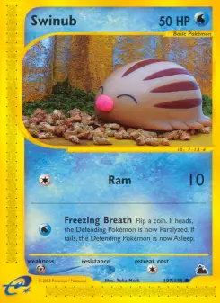 Pokémon-Karte Swinub 107/144