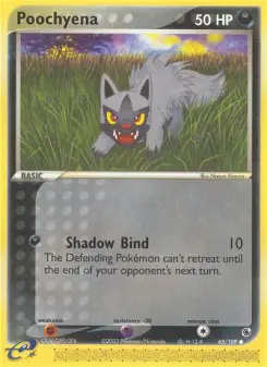 Pokémon-Karte Poochyena 065/109