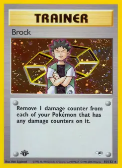 Pokémon-Karte Brock 015/132