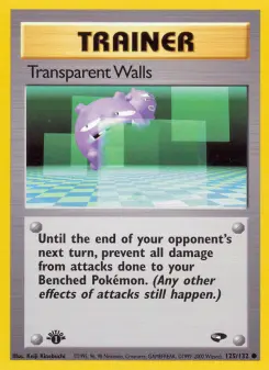 Pokémon-Karte Transparent Walls 125/132