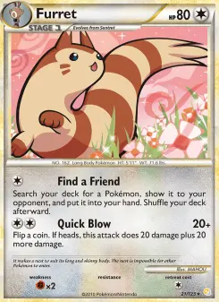 Pokémon-Karte Furret 021/123