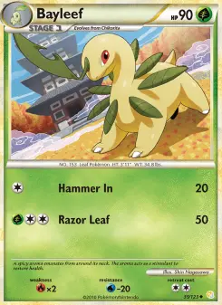 Pokémon-Karte Bayleef 035/123