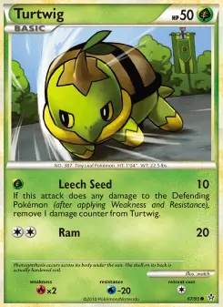 Pokémon-Karte Turtwig 067/095