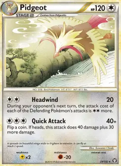 Pokémon-Karte Pidgeot 029/102