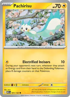 Pokémon-Karte Pachirisu 051/132
