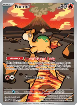 Pokémon-Karte Numel 223/217