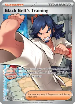Pokémon-Karte Black Belt's Training 255/217