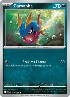 Pokémon-Karte Carvanha 060/094