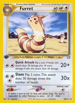 Pokémon-Karte Furret 035/111