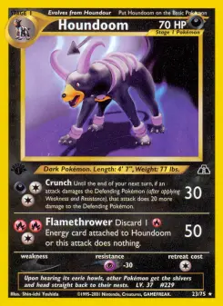 Pokémon-Karte Houndoom 023/075