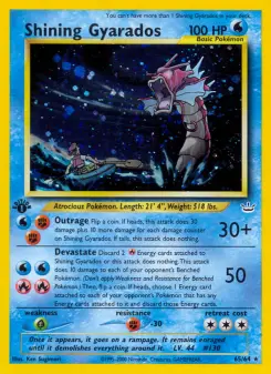 Pokémon-Karte Shining Gyarados 065/064