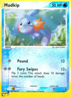 Pokémon-Karte Mudkip 010/040