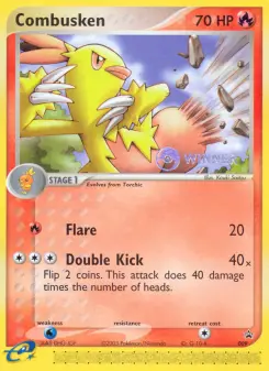 Pokémon-Karte Combusken 009/040