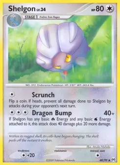 Pokémon-Karte Shelgon 048/099