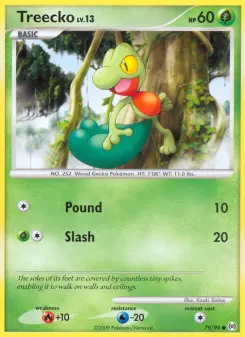 Pokémon-Karte Treecko 079/099
