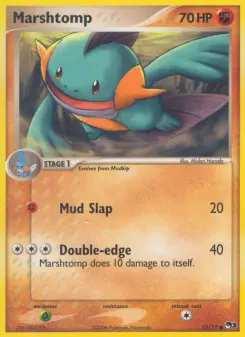 Pokémon-Karte Marshtomp 015/017