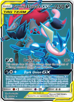 Pokémon-Karte Greninja & Zoroark GX 200/214