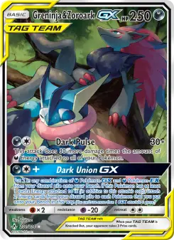Pokémon-Karte Greninja & Zoroark GX 201/214