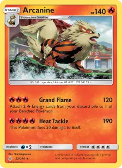 Pokémon-Karte Arcanine 022/214
