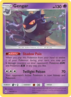 Pokémon-Karte Gengar 070/214