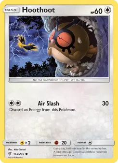 Pokémon-Karte Hoothoot 165/236
