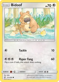 Pokémon-Karte Bidoof 171/236