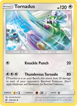 Pokémon-Karte Tornadus 178/236