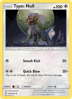 Pokémon-Karte Type: Null 183/236