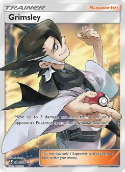 Pokémon-Karte Grimsley 234/236