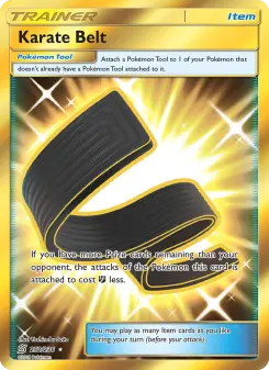 Pokémon-Karte Karate Belt 252/236