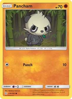Pokémon-Karte Pancham 119/236
