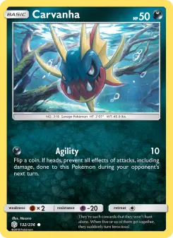 Pokémon-Karte Carvanha 132/236